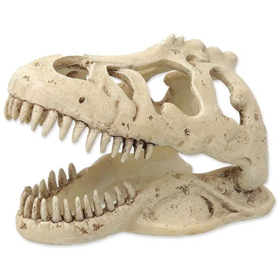 Reptiplanet T-Rex Skull Pet Market