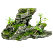 C-Shape Rock Formation With Plant