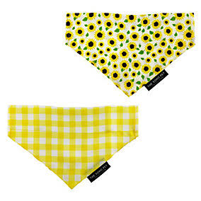 sunflower/yellow check bandana the Pet MARKET
