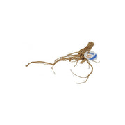 SuperFish Natural Spider Wood Aquarium Wood SuperFish X-Small