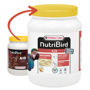 Versele Laga - Nutri Bird A19 - 800g Pet Market