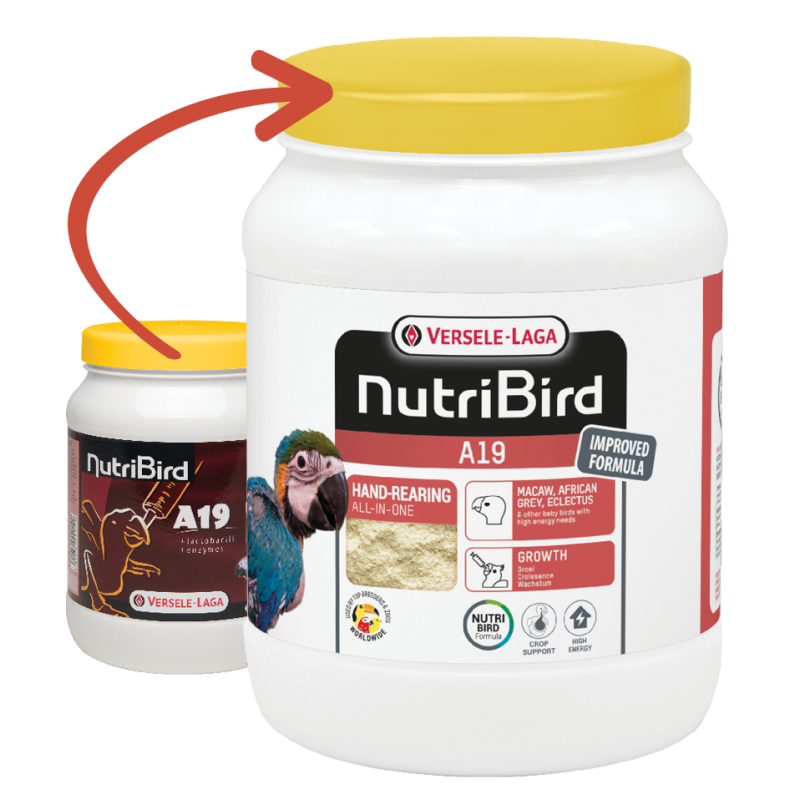 Versele Laga - Nutri Bird A19 - 800g Pet Market
