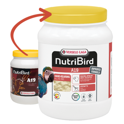 Versele Laga - Nutri Bird A19 - 800g