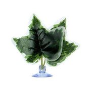 Micro plant with sucker Pet Market