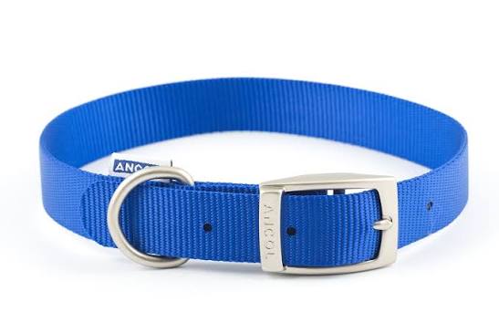 VIVA COLLAR Dog accessories Ancol Blue 20-26cm Size 1
