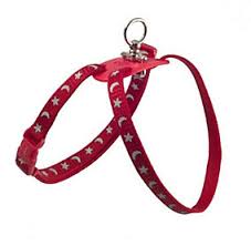 Ancol harness & lead set set Ancol