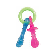 Nylabone Puppy Teething Pacifier DOG - TOY Nylabone