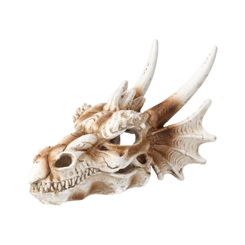 PR Dragon Skull Med 19.5×14.8×13.5cm Pet Market