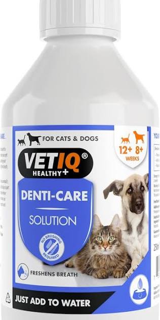 Vet IQ Denti care solution 250ml Dog accessories VetIQ