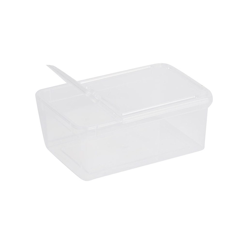 BraPlast Low Hinged Box & Lid 1.3L Reptile Housing Braplast