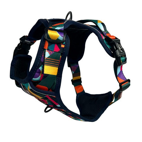 Twiggy Tags Adventure Harness Dog accessories Twiggy Tags Aurora Size 1