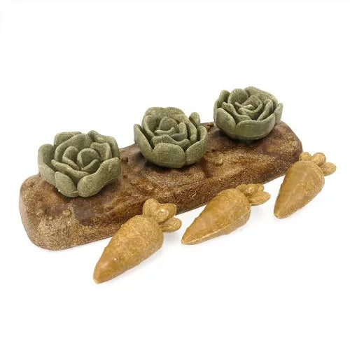 Veggie Burst Salad Patch the Pet MARKET