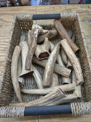 Cornish Raw Antler Pet Market