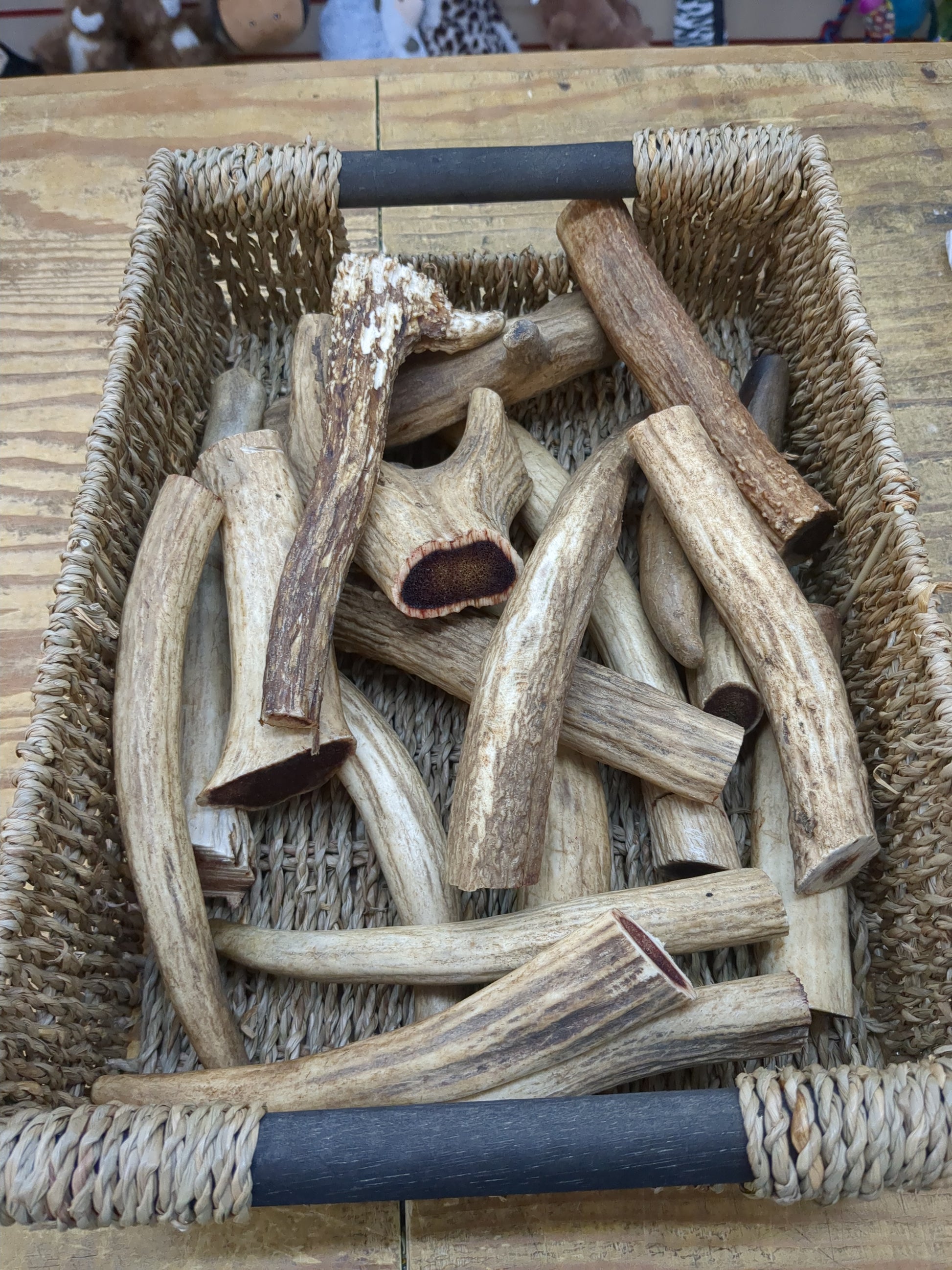 Cornish Raw Antler Pet Market