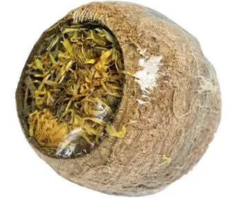 Forage Filled Coconut the Pet MARKET