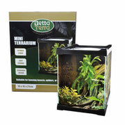 Betta Terra Black Mini Terrarium 16 x 16 x 21cm Pet Market