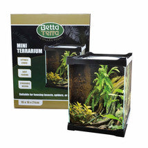 Betta Terra Black Mini Terrarium 16 x 16 x 21cm Pet Market