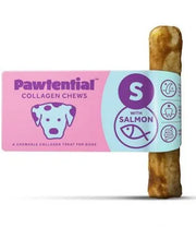 Pawtential small salmon Pet Market