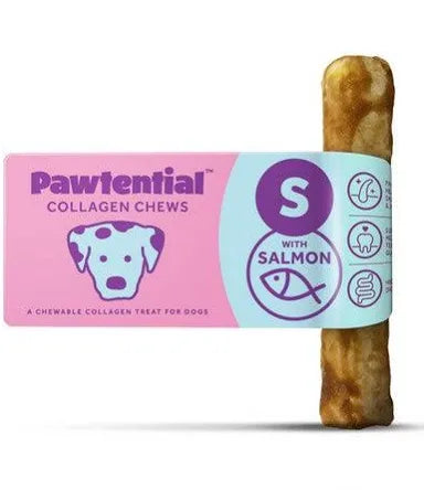 Pawtential small salmon Pet Market