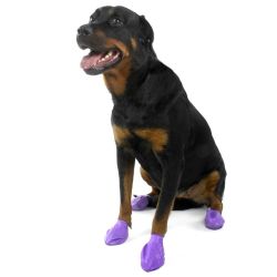 Pawz natural rubber, waterproof dog boot 12 pack Pawz