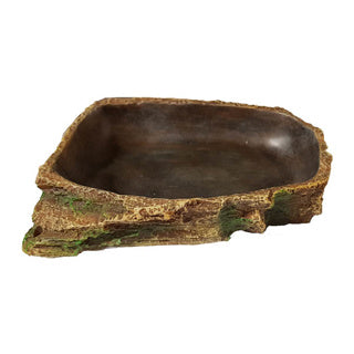 Betta Terra Medium Reptile Dark Water Dish Pet Market