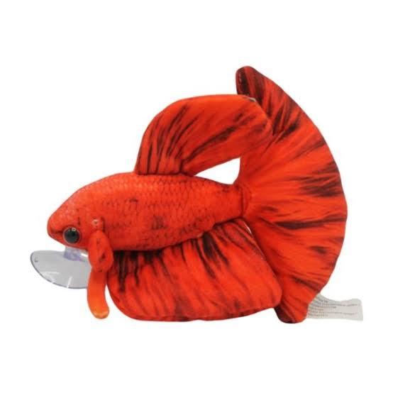 Red betta plush Pet Market