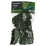 Pro Rep Hanging Plant Weeping Fig 45cm Pet Market