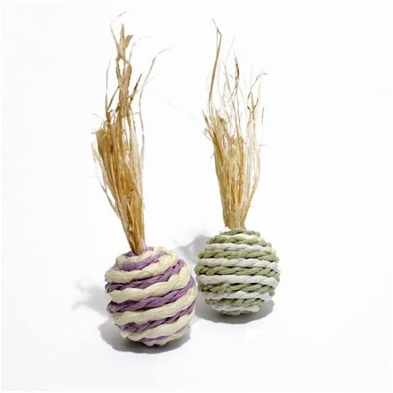 Wacky Rollers 2 Pack Rosewood