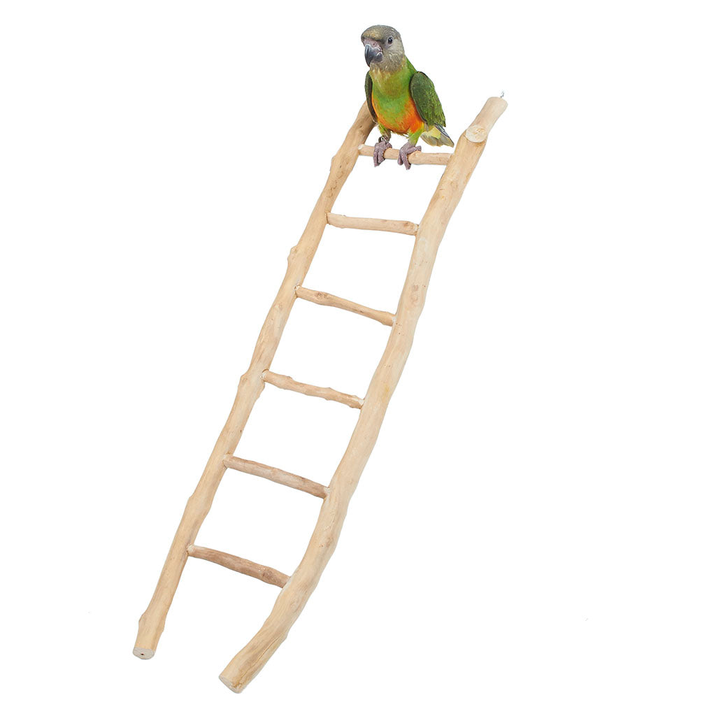 4518 - Java Ladder 60cm Pet Market