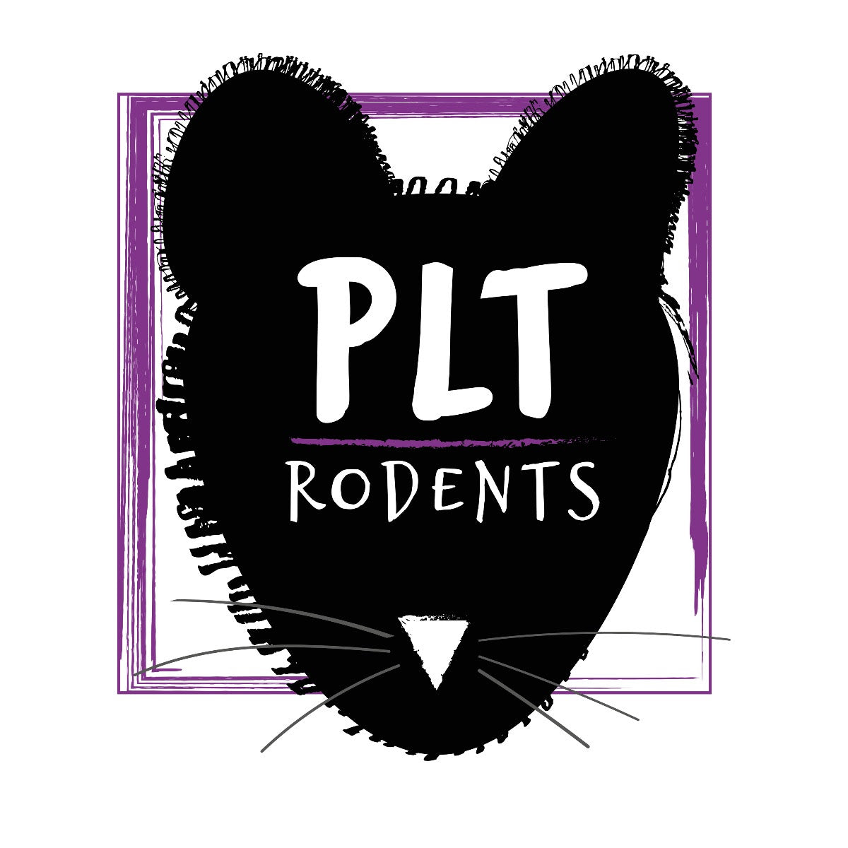 Large Rat Pet Market