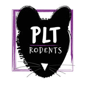 Large Rat Pet Market