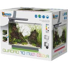 Superfish quadro 70 multi colour Pet Market
