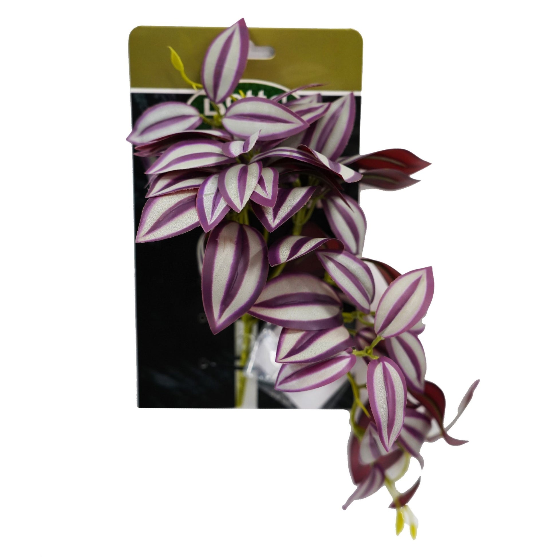Betta Terra Red Spiderwort Plant w/ Suction Cup Pet Market