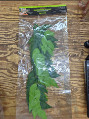 Komodo banyan leaf hanging plant 30cm Pet Market