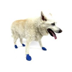 Pawz natural rubber, waterproof dog boot 12 pack Pawz