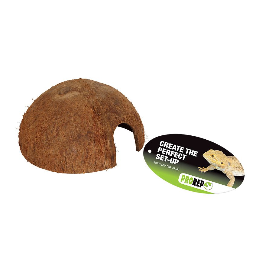 Coconut hide Pet Market