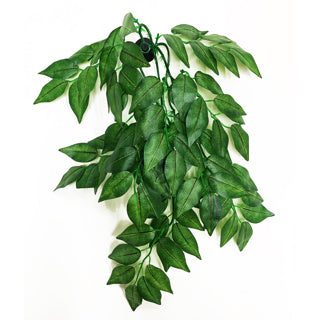 Betta Terra Green Vine RP025 by the Pet MARKET, realistic aquatic plant decoration for betta tanks with vibrant green foliage.