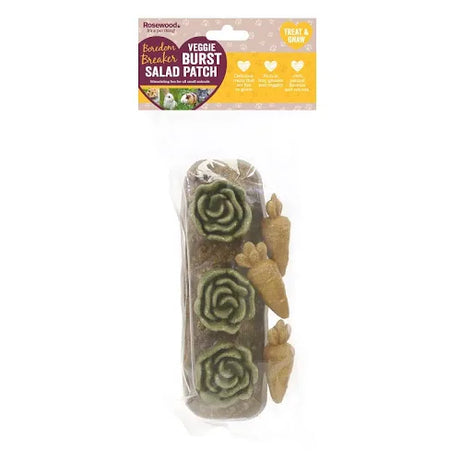 Veggie Burst Salad Patch the Pet MARKET