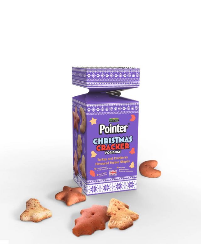 Pointer Christmas cracker for dogs Pet Market