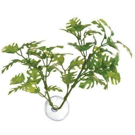 Zoomed betta plants Zoo med Window leaf plant
