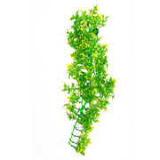 Betta Terra Green/Yellow Terrarium Vine 70cm Reptile - Decor Pet Market