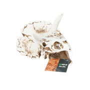 Prorep Triceratops Skull Pet Market