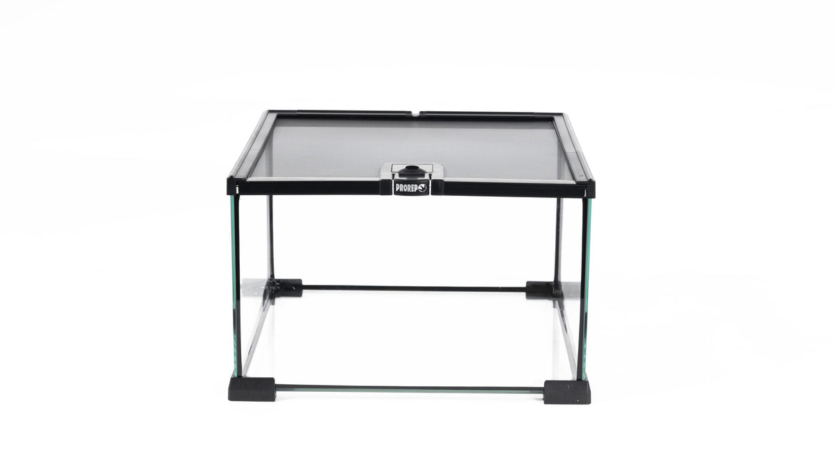 PR MINI Terrarium 300x300x200mm Pet Market