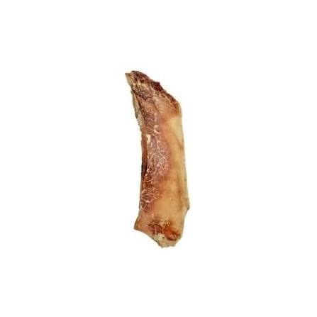 Moon bone Single Nova