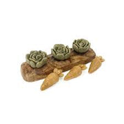 Veggie Burst Salad Patch the Pet MARKET