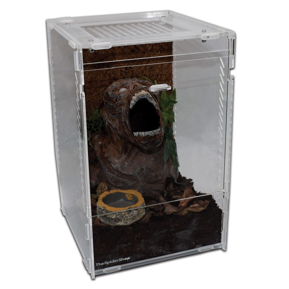 TSS Arboreal Acrylic Large the Pet MARKET