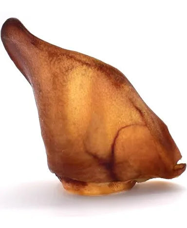 X-Large Pig Ears - Single Dog Treat Nova