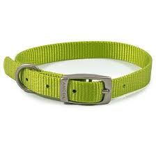 VIVA COLLAR Dog accessories Ancol Green 20-26cm Size 1