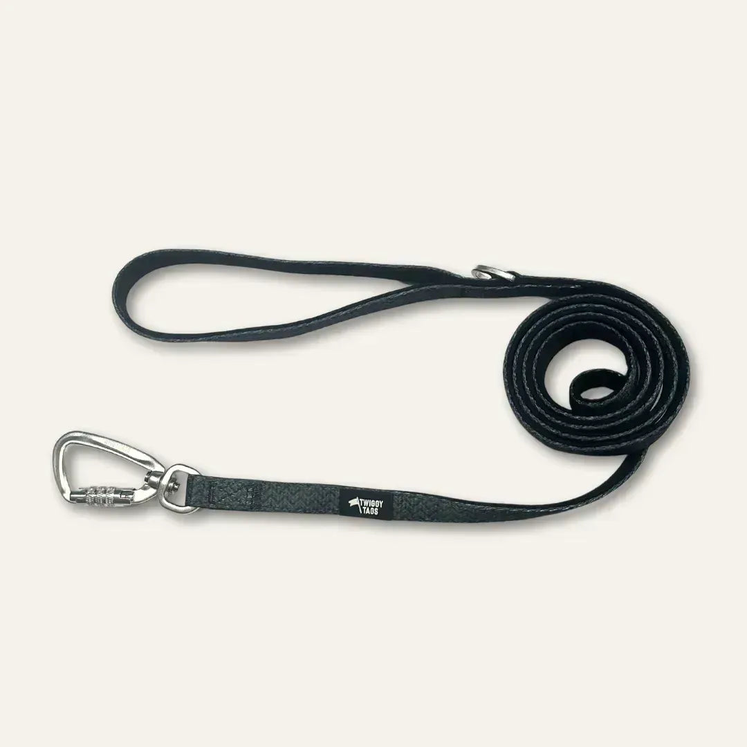 Twiggy Tags Adventure Lead Small 1.5m Dog accessories Twiggy Tags Petrichor