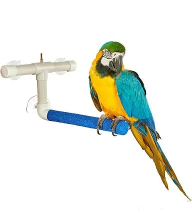 Window & Shower Perch Large (7742) Bird Perch Sky